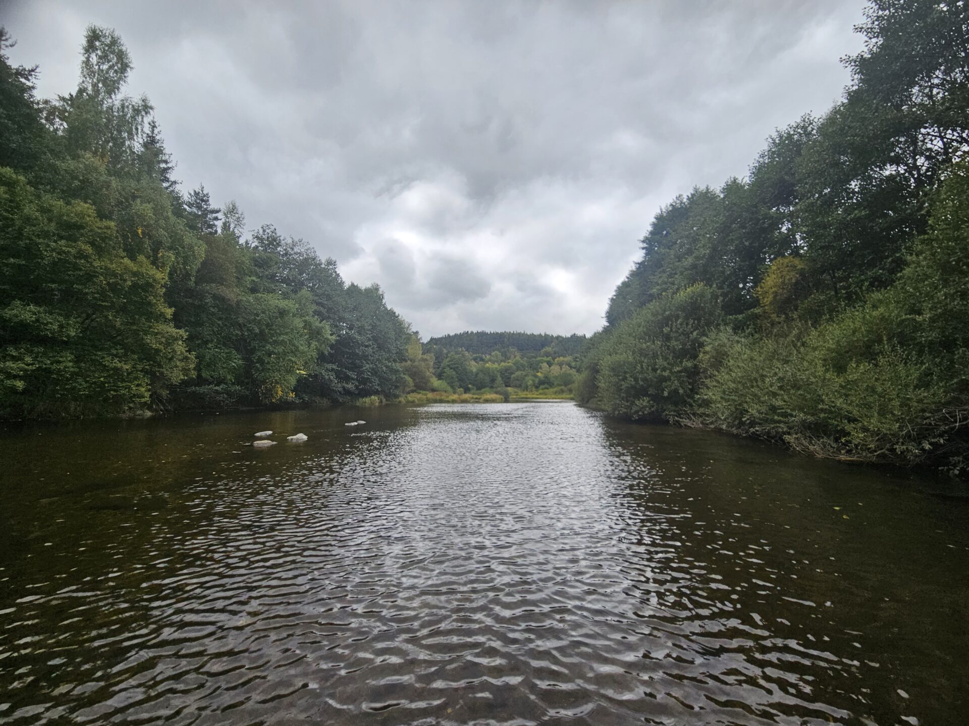 Vue de la rivière Allier et de ses ripisylves